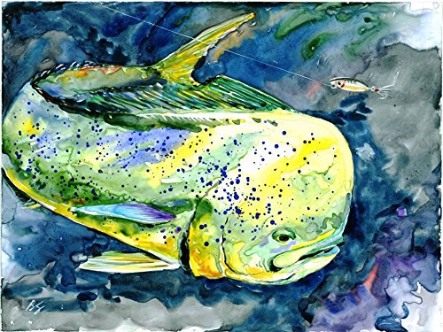 Mahi Mahi Painting at PaintingValley.com | Explore collection of Mahi ...