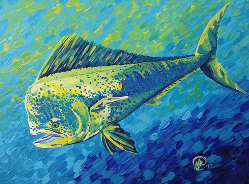 Mahi Mahi Painting at PaintingValley.com | Explore collection of Mahi ...