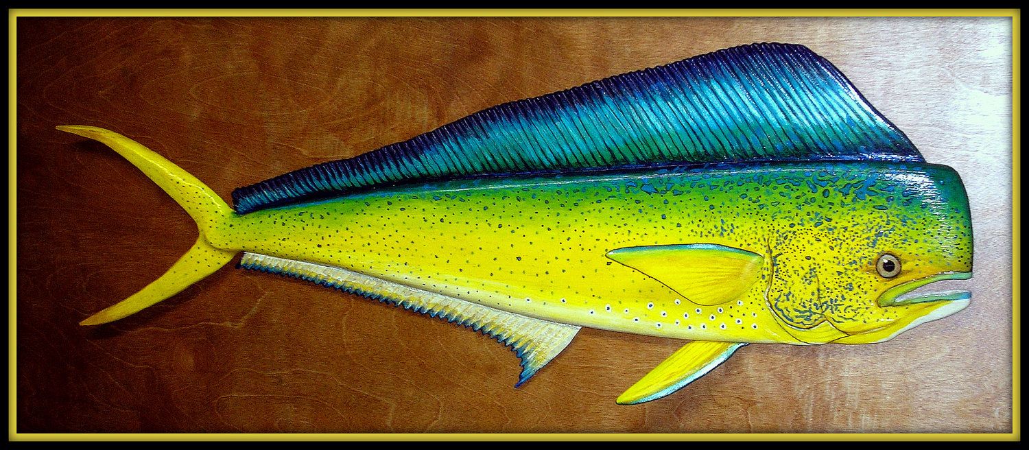 1500x656 Dolphinfish Dolphin Fish Art Dolphinfish Mahi Mahi Dorado - Mahi Mahi Painting