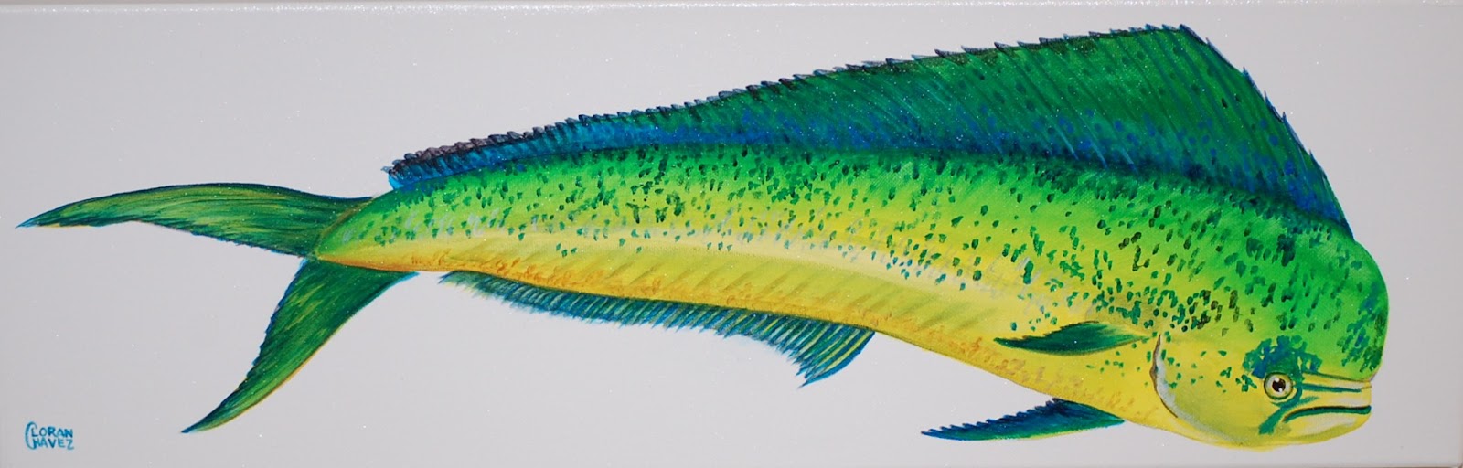 1600x512 Coastal Art ~ Loran Chavez Fish Series - Mahi Mahi Painting