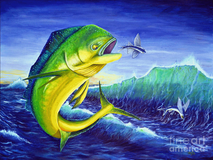 900x676 Day Of The Dolphin Painting By Shelly Tschupp - Mahi Mahi Painting
