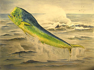 300x225 Mahi Mahi Paintings Fine Art America - Mahi Painting