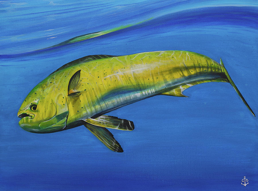 900x669 Mahi Painting By Corey Giesey - Mahi Painting