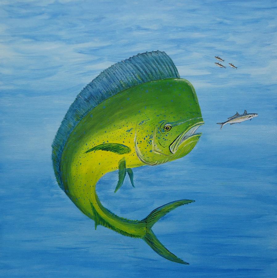 898x900 Mahi Painting By Steve Cardano - Mahi Painting