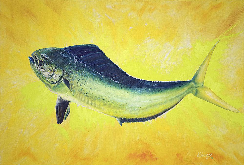 1000x677 Dorado Gold - Mahi Painting