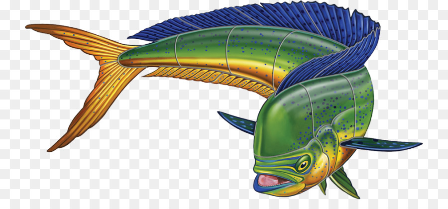 900x420 Fish Mahi Mahi Painting Clip Art - Mahi Painting