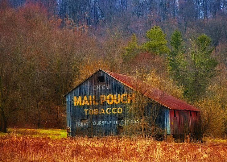 736x525 Barns Of Ohio Mail Pouch Barn Art - Mail Pouch Barn Painting