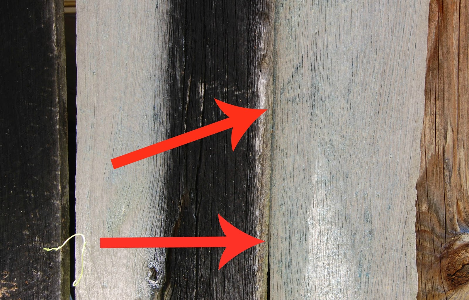 1600x1023 Michael C. Wells Photography Mail Pouch Tobacco Barn 4 - Mail Pouch Tobacco Barn Painting