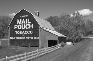 307x200 E Wv Mail Pouch Barns - Mail Pouch Tobacco Barn Painting