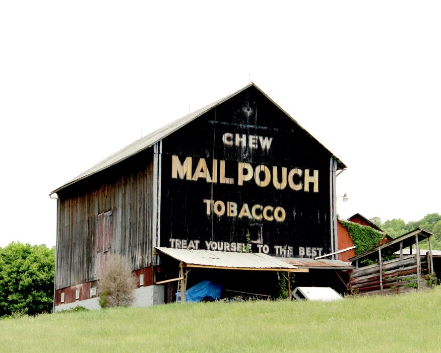 875x701 Good Looking Women And Mail Pouch Tobacco Barns Journal Amp Noble - Mail Pouch Tobacco Barn Painting