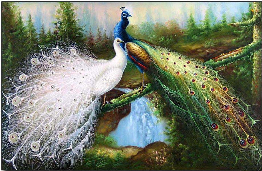 918x599 Animal Oil Painting,bird Oil Painting Majestic Peacocks 2 - Majestic Painting