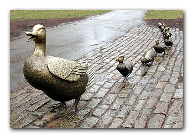 390x279 Make Way For Ducklings, Boston By Nancy - Make Way For Ducklings Painting