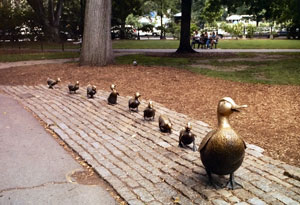 300x205 Make Way For Ducklings Facts For Kids - Make Way For Ducklings Painting