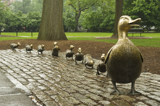 550x367 Discovering Boston's Public Art Bu Today Boston University - Make Way For Ducklings Painting