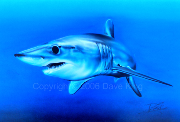 613x416 Mako Shark Airbrush Painting By Superchickenn123 - Mako Shark Painting