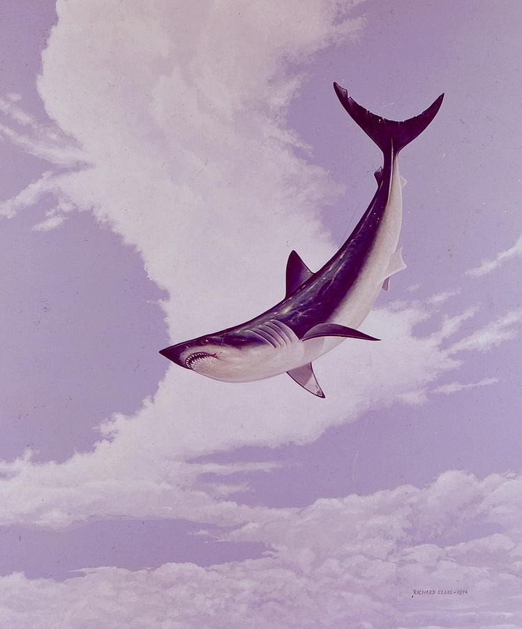 748x900 Mako Shark Painting By Richard Ellis - Mako Shark Painting