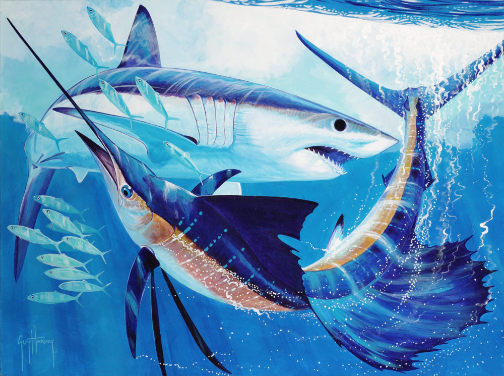 1000x745 Park West Sponsors Mako Shark With Guy Harvey - Mako Shark Painting