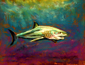 288x221 Contact Amp Mailing Information Form - Mako Shark Painting