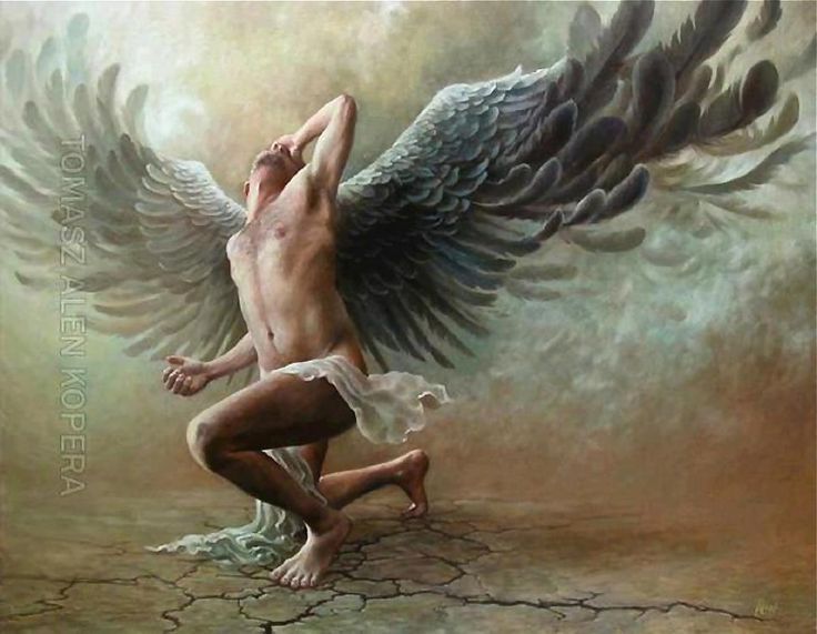 736x571 Beautiful Fairies And Angels - Male Angel Painting