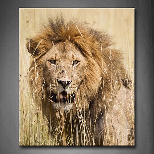 500x500 Buy First Wall Artampacircampreg - Male Lion Painting