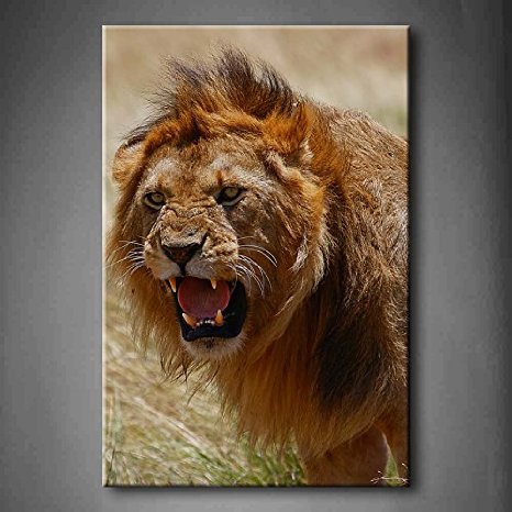 466x466 Cheap Lion Painting For Sale, Find Lion Painting For Sale Deals - Male Lion Painting