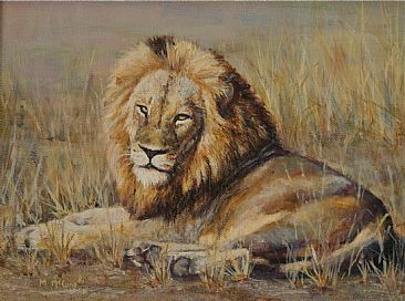 366x272 Male Lion In South Africa - Male Lion Painting