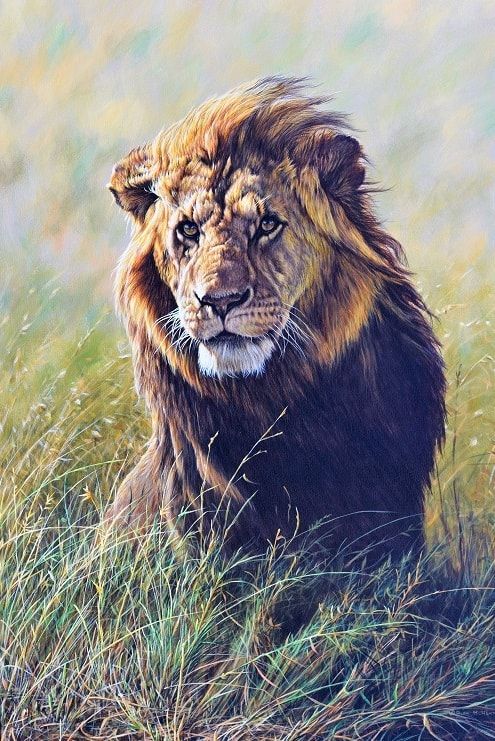 495x741 New Male Lion Painting Latest Painting - Male Lion Painting