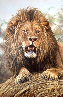 250x386 One Awesome African Male Lion. (By Alan M Hunt). Arts Amp Crafts - Male Lion Painting