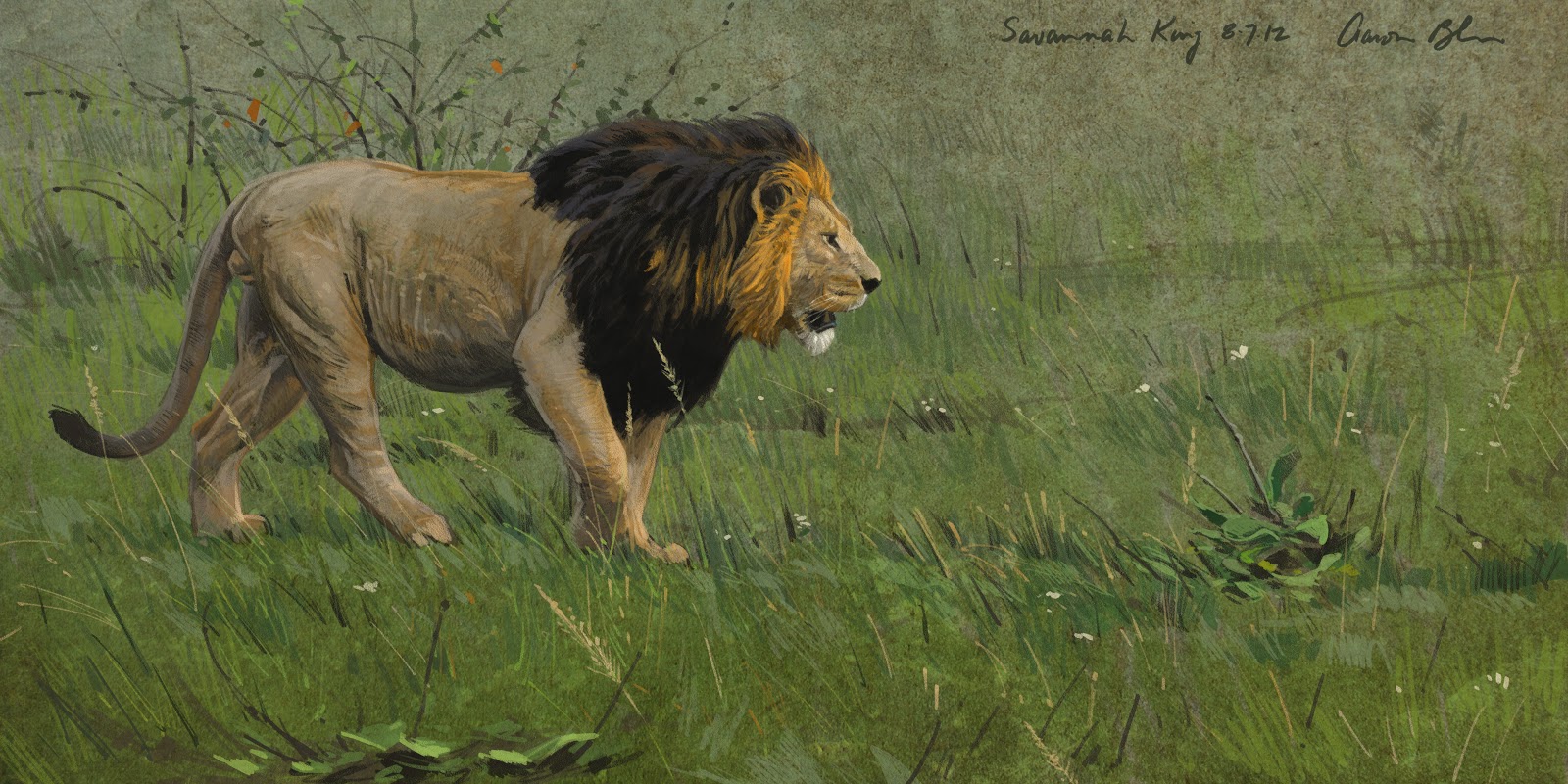 1600x800 One My Digital Animal Paintings, Step By Step The Art - Male Lion Painting