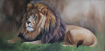 366x178 African Male Lion - Male Lion Painting
