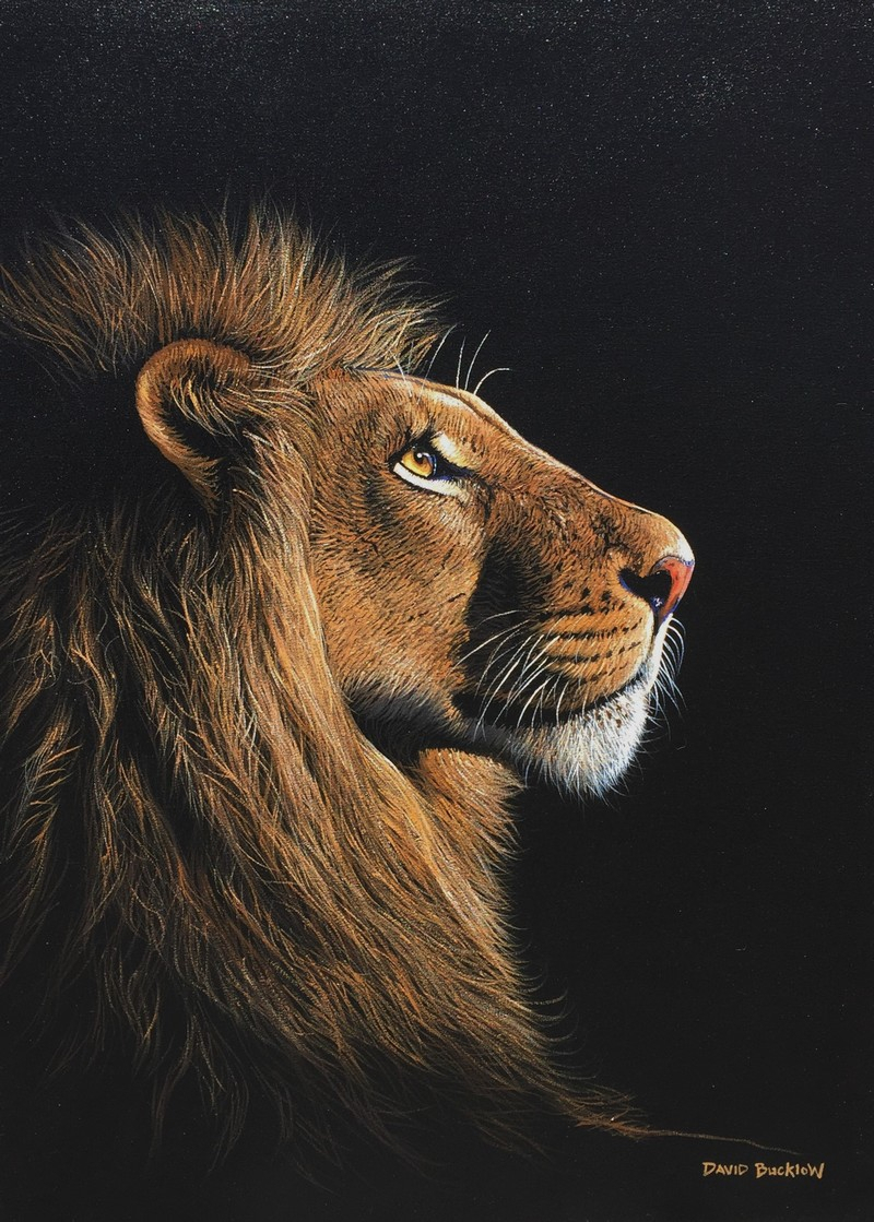 800x1119 Painting Wildlife In Acrylic Majestic One - Male Lion Painting