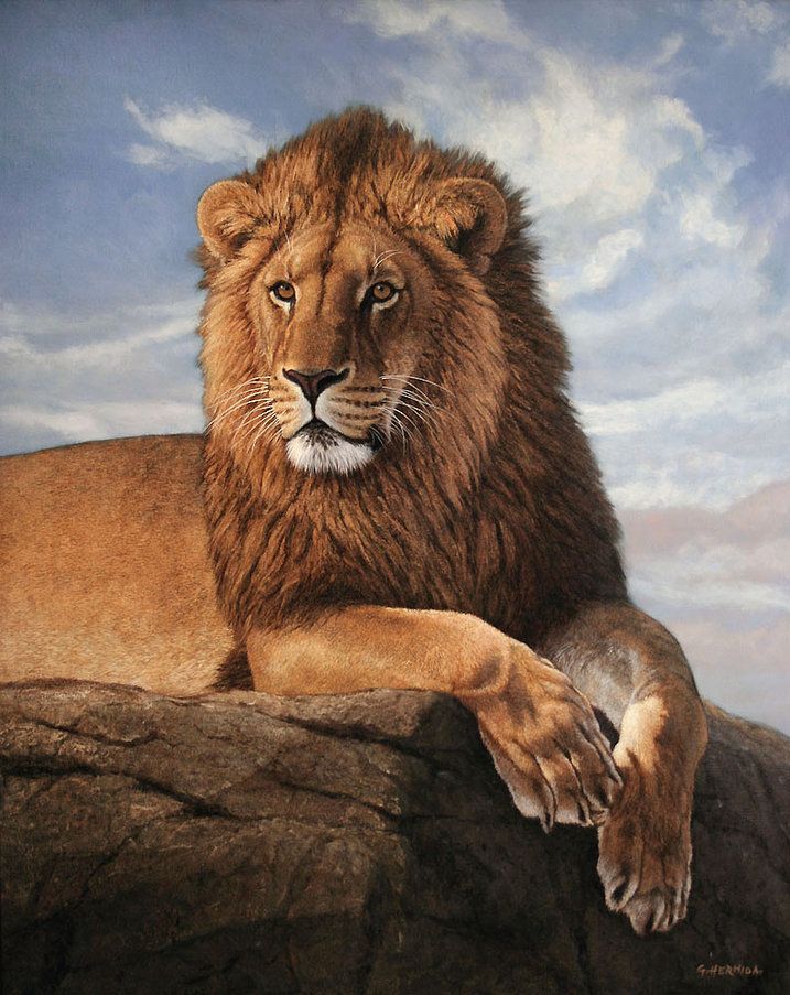 717x903 African Lion Painting By Gabriel Hermida Art - Male Lion Painting