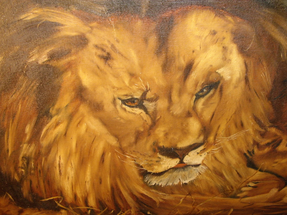 1000x750 Antiques Atlas - Male Lion Painting