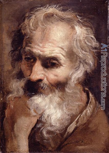 426x600 Head Of An Old Man Oil Painting Reproductions, Head Of An Old Man - Male Oil Painting
