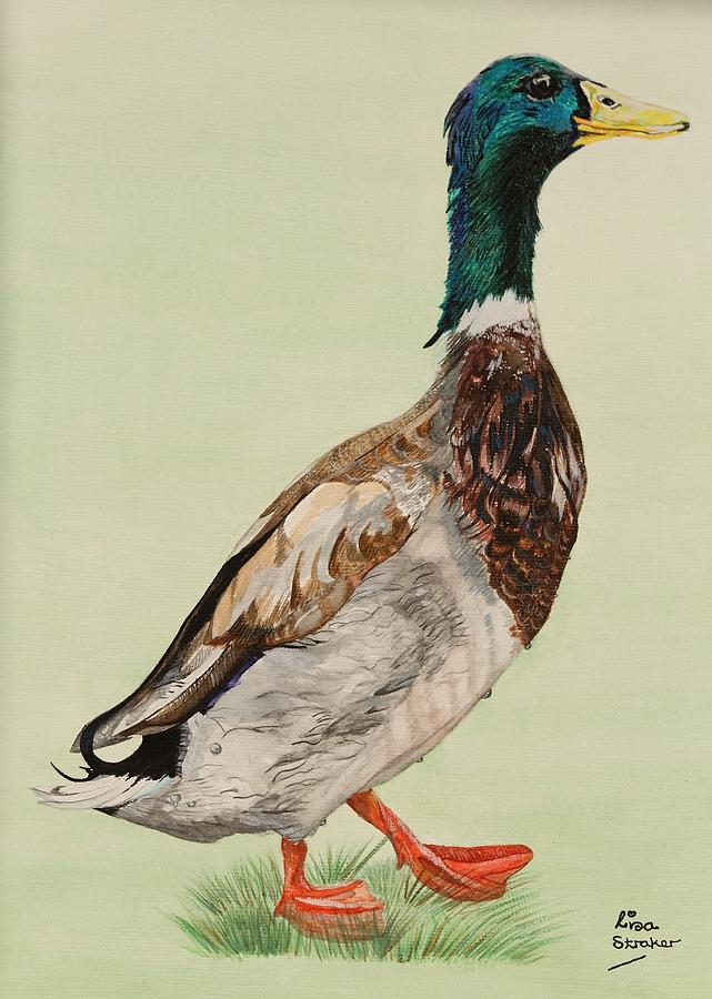 641x900 Mallard Duck Head For The Bread Painting By Lisa Straker - Mallard Duck Painting