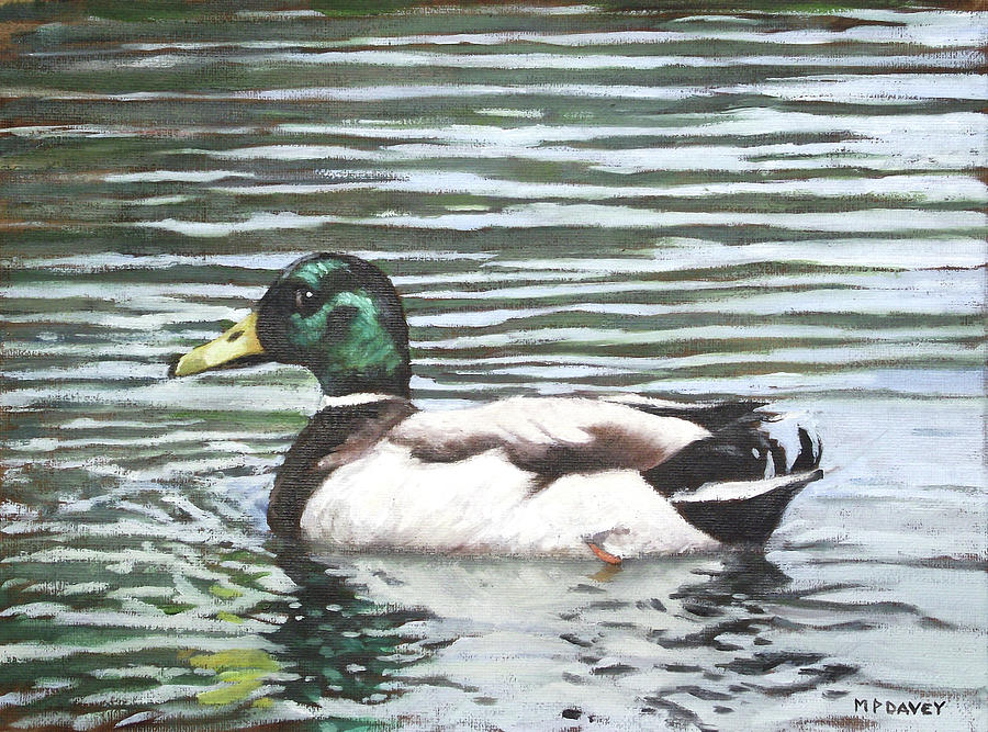 900x667 Single Mallard Duck In Water Painting By Martin Davey - Mallard Duck Painting
