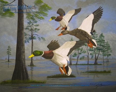 450x357 Wildlife Art - Mallard Duck Painting