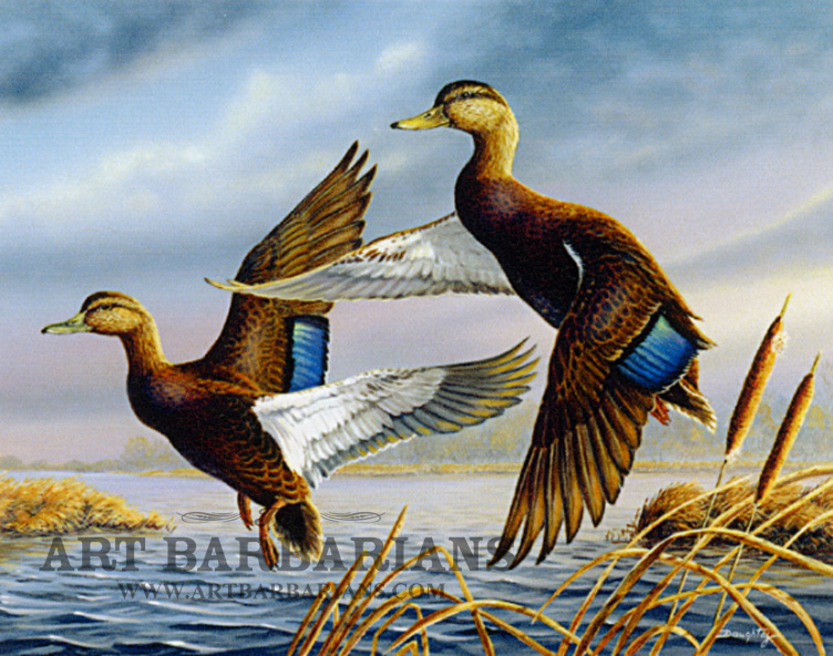752x592 Wildlife Art Prints Plus Original Paintings With A Wide Selection - Mallard Duck Painting