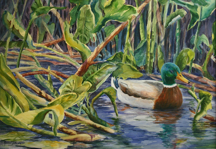900x622 Environmentally Sound - Mallard Duck Painting