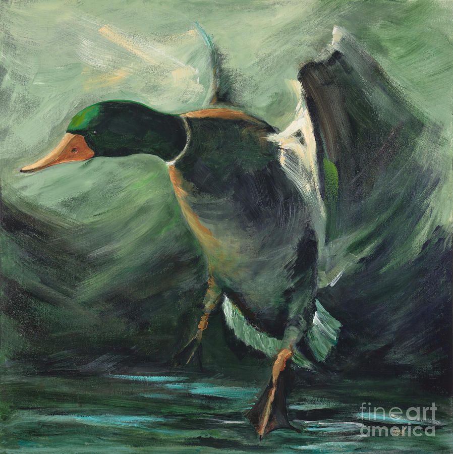 898x900 Mallard Flight Painting - Mallard Painting