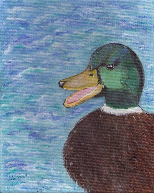 510x640 Seanette Smith Artwork Open Mouth Mallard Original Painting - Mallard Painting