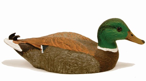500x278 Uvision Ultraviolet (Uv) Reflective Duck And Goose Decoy Paint Is - Mallard Painting
