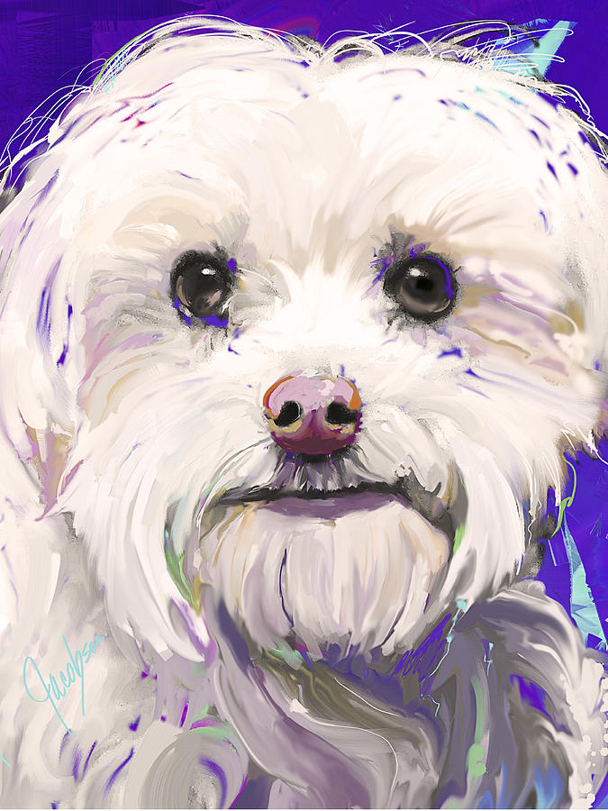 675x900 Maltese 1 Tall Painting By Jackie Jacobson - Maltese Painting