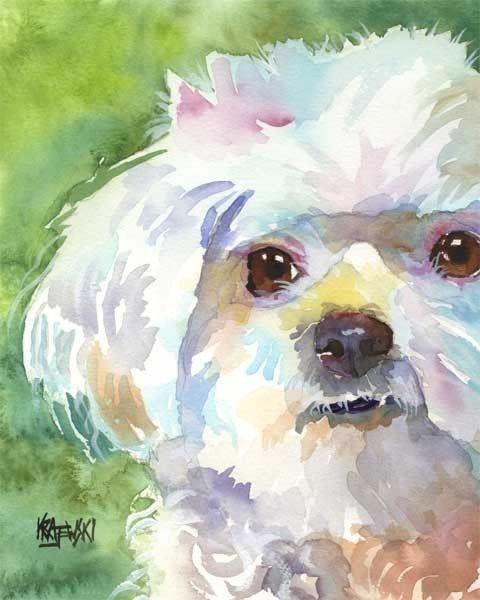 480x600 Maltese Art Print Of Original Watercolor Painting 11x14 On Etsy - Maltese Painting