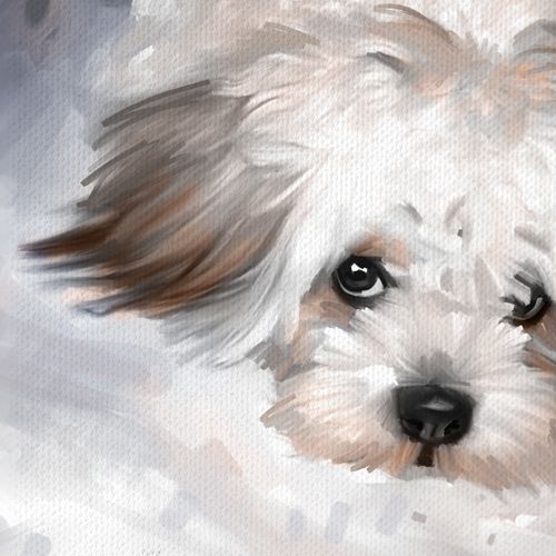500x500 Maltese Dog Pet Portrait Original Art Painting Canvas Giclee Print - Maltese Painting