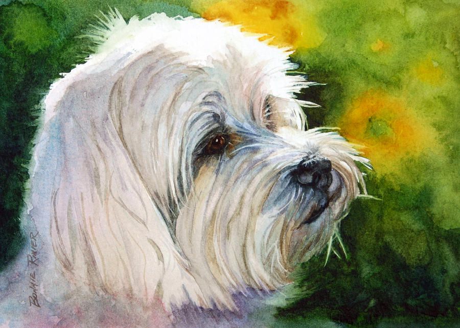 900x642 Maltese Painting - Maltese Painting