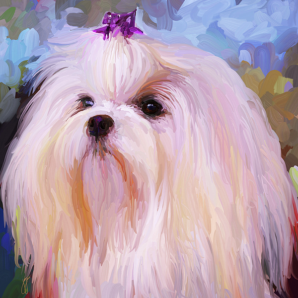 600x600 Maltese Portrait - Maltese Painting