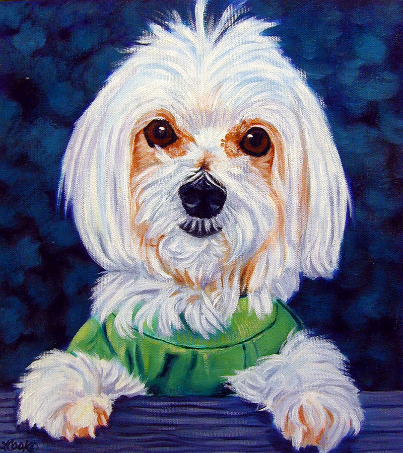 800x900 My Sweater - Maltese Painting