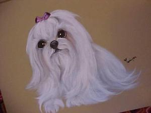 300x225 The Many Faces Of The Maltese. Original Maltese Painting Ebay - Maltese Painting