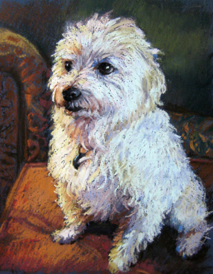 311x400 Watercolor Amp Pastel Paintings For Sale - Maltese Painting